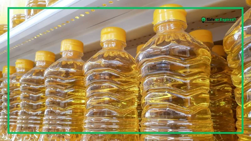 Does Vegetable Oil Go Bad? (know the Details)