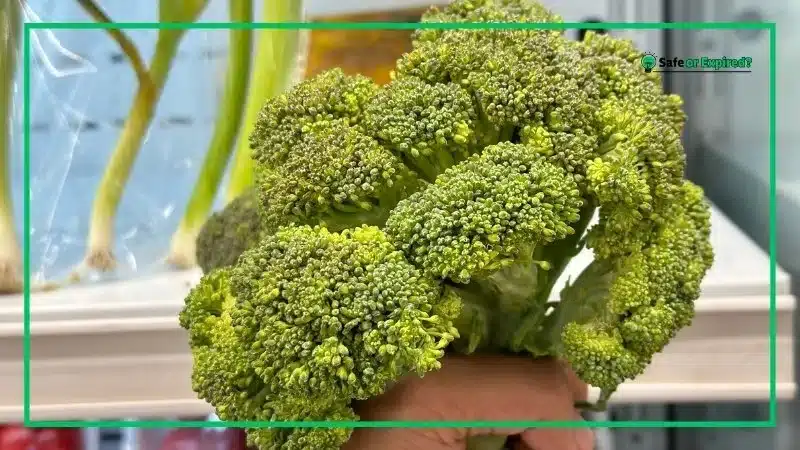 How To Tell if Steamed Broccoli Is Bad?