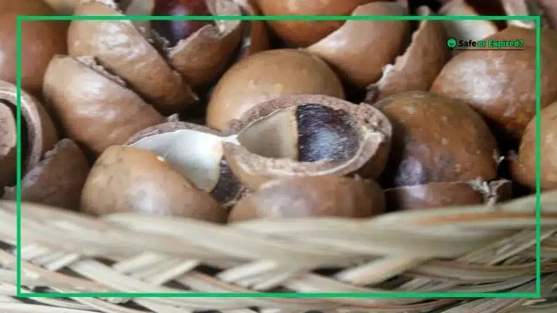 How Do You Know if Macadamia Nuts Have Gone Bad?