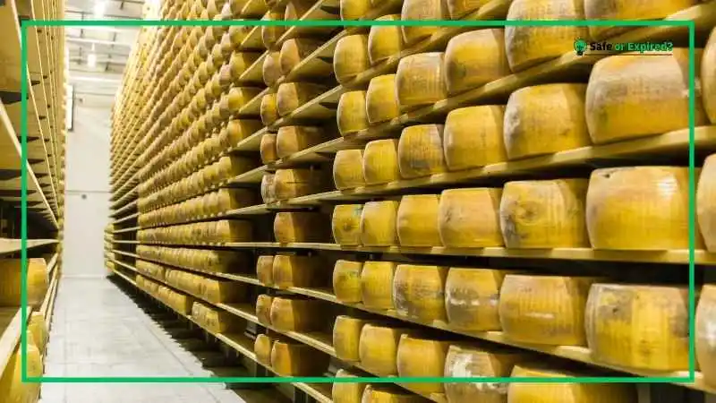 Best Practices to Extend the Life of Parmigiano Reggiano Cheese?