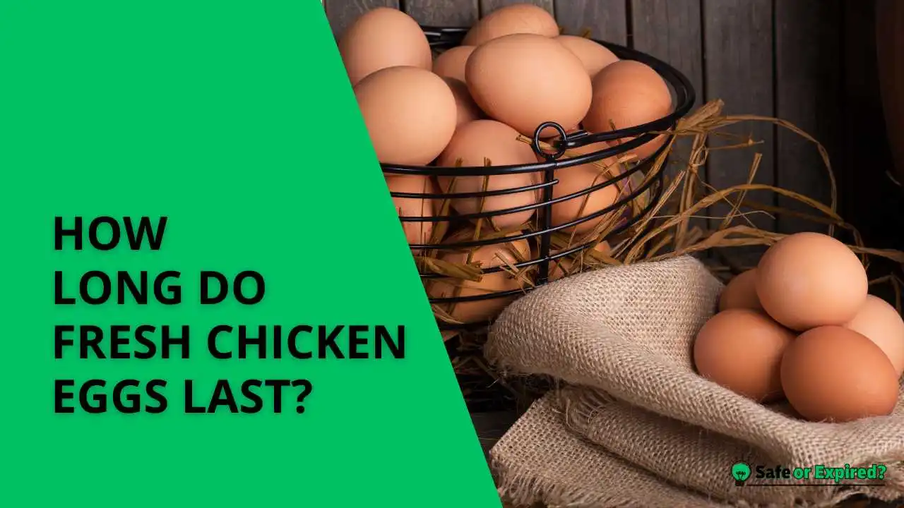 how long do fresh chicken eggs last