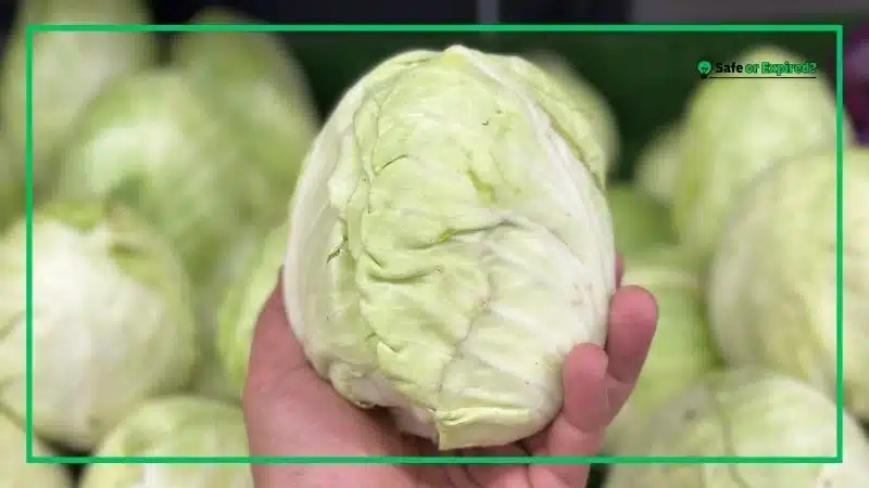 How Long Does Cabbage Last Unopened?