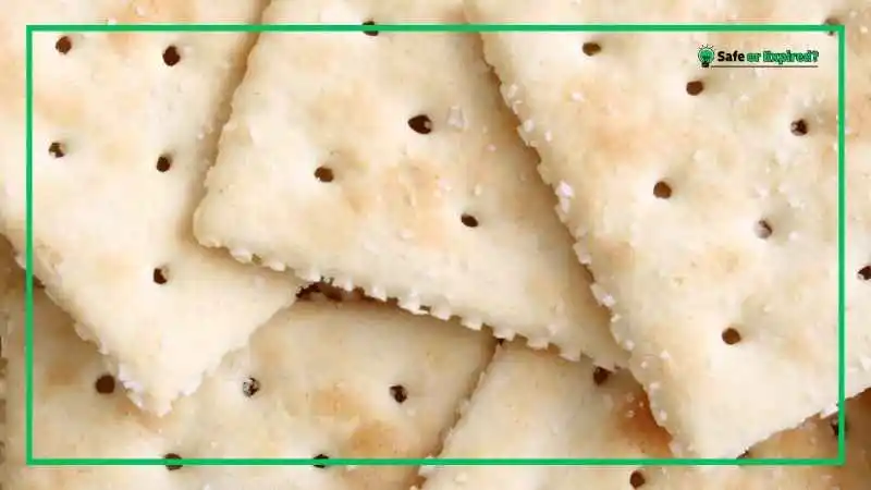 How to tell if Saltine crackers are bad? Signs to Look For