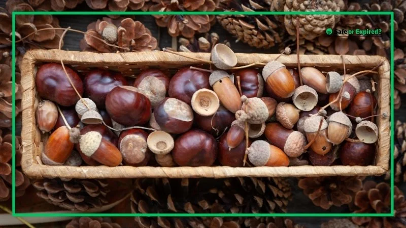 How Long Do Chestnuts Go Bad? (When to Expect?)