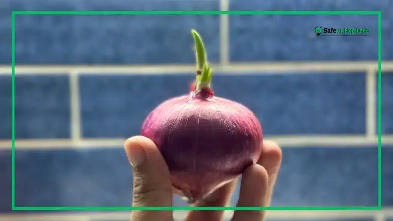 How to Tell if an Onion Is Bad