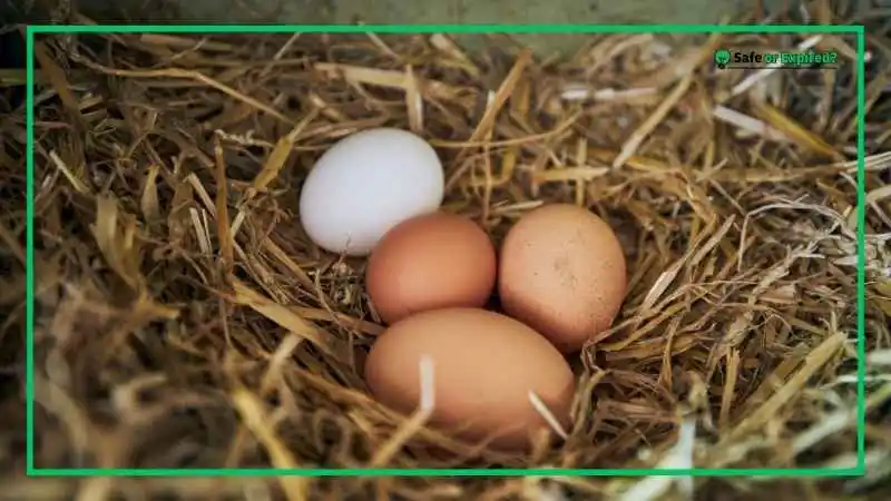 how long do fresh chicken eggs last